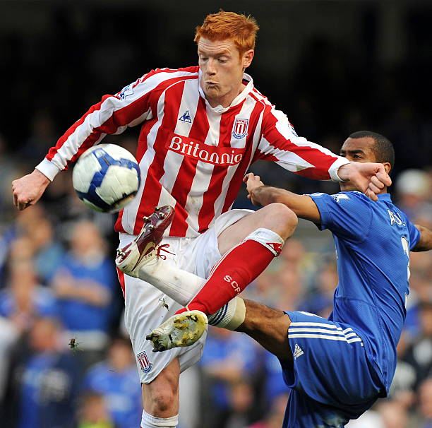 的新纽带 的新纽带